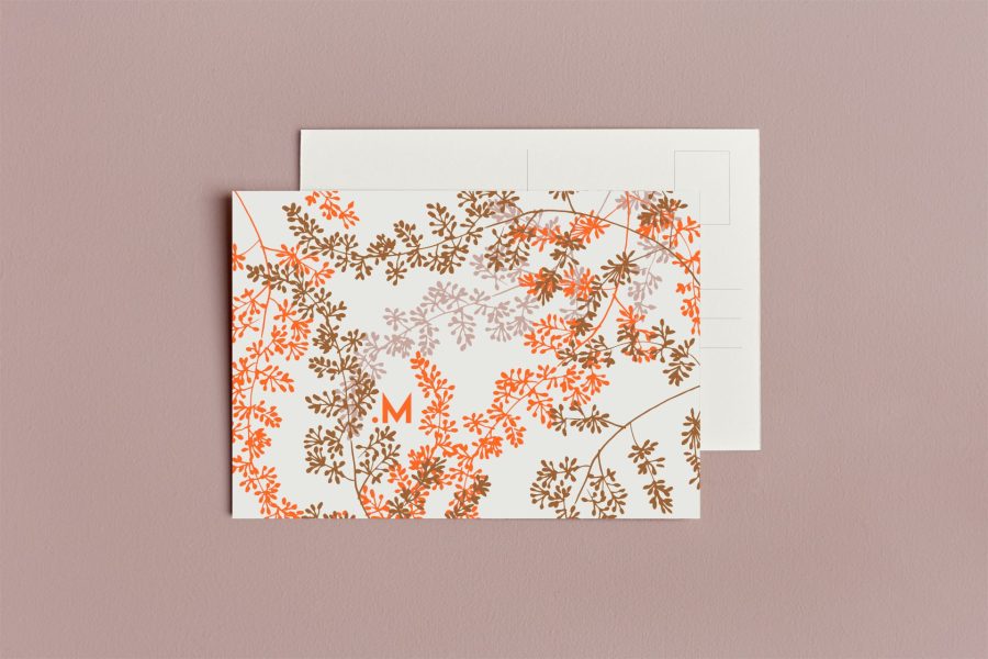 LOT DE 4 CARTES POSTALES – Image 5
