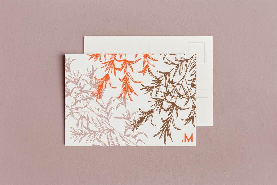 carte postale plumes rose, orange et marron