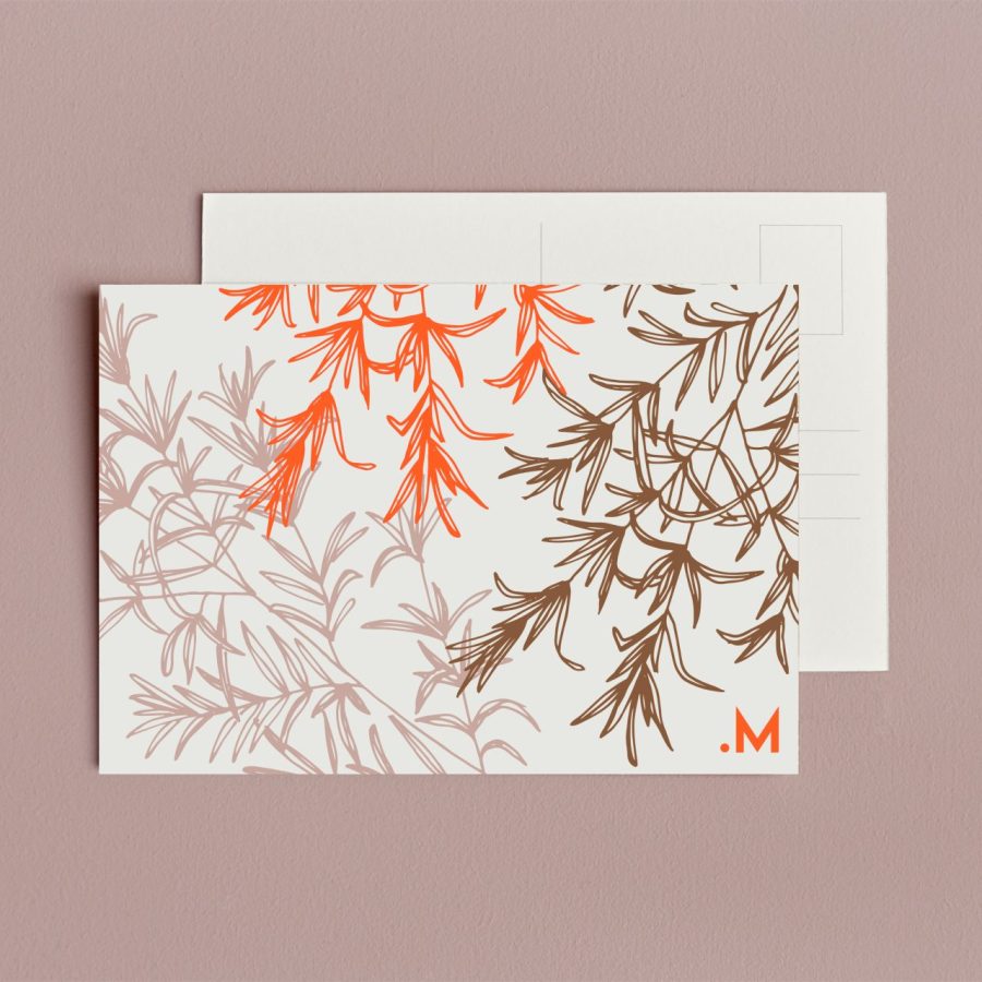 carte postale plumes rose, orange et marron